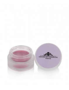 Lip Care Natural