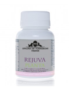 RejuvaPlanta