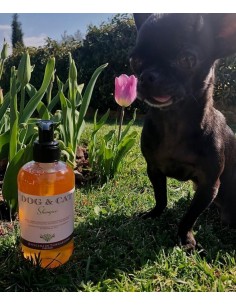 MULTI-TASKING TREATMENT SHAMPOO - DOG & CAT 250 Ml. 2