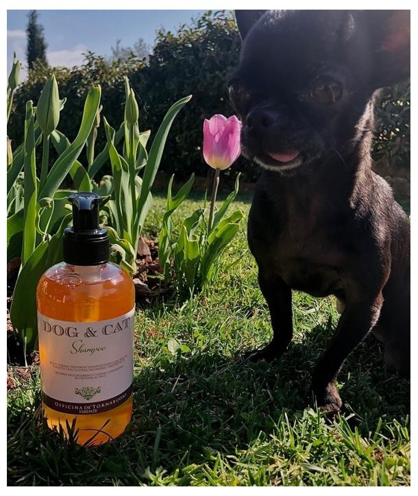 Multi Tasking Treatment Shampoo &ndash; Shampoo naturale manto