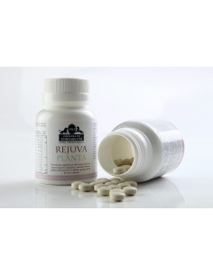 RejuvaPlanta 2