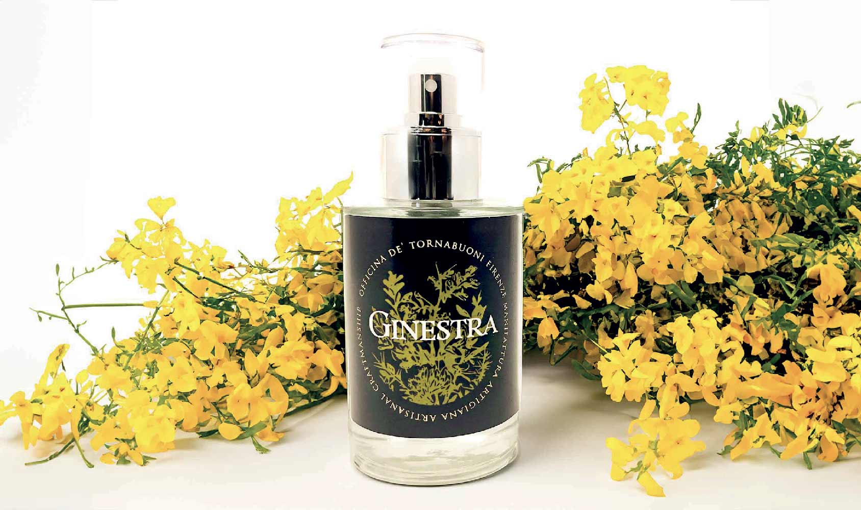 Ginestra Perfume water base